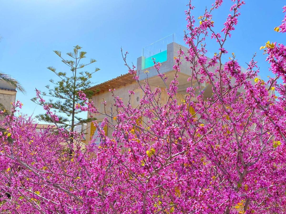 Hotel Boutique Can Pocovi Sant Llorenc Des Cardassar Ngoại thất bức ảnh